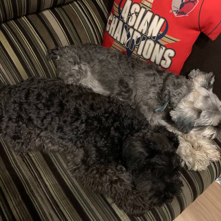 37d96fdd 255a 428d bbf2 897ea0880539 1589372520249