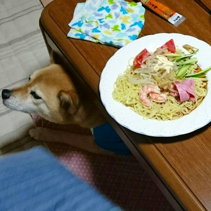 37d98bfb e157 4d2c b64f 23adb8d4ad79 1530430950982