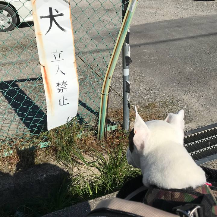 37d98de0 439f 4417 894d 4e58ae7541ad 1547437850501