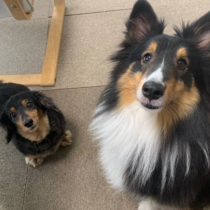 37d99391 7066 47dc b5a8 16e779918607 1589233335851