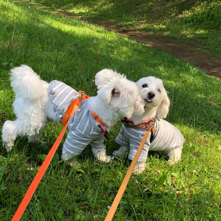 37d9ab93 42fb 47e2 bd51 1898eb1c471b 1524992313269