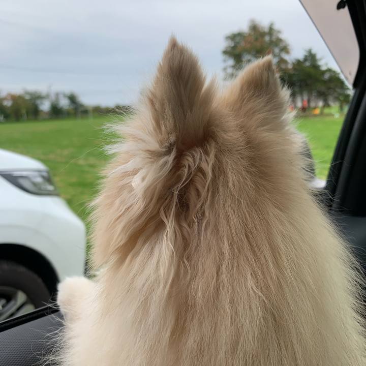 37d9b186 1a4b 4f6a b59c dfcfd09580cb 1602717301175