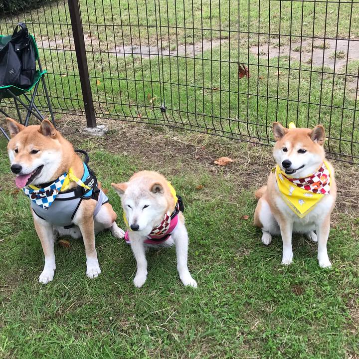 37d9db95 81e9 43dc 9067 f6232d0868c9 1569657419358