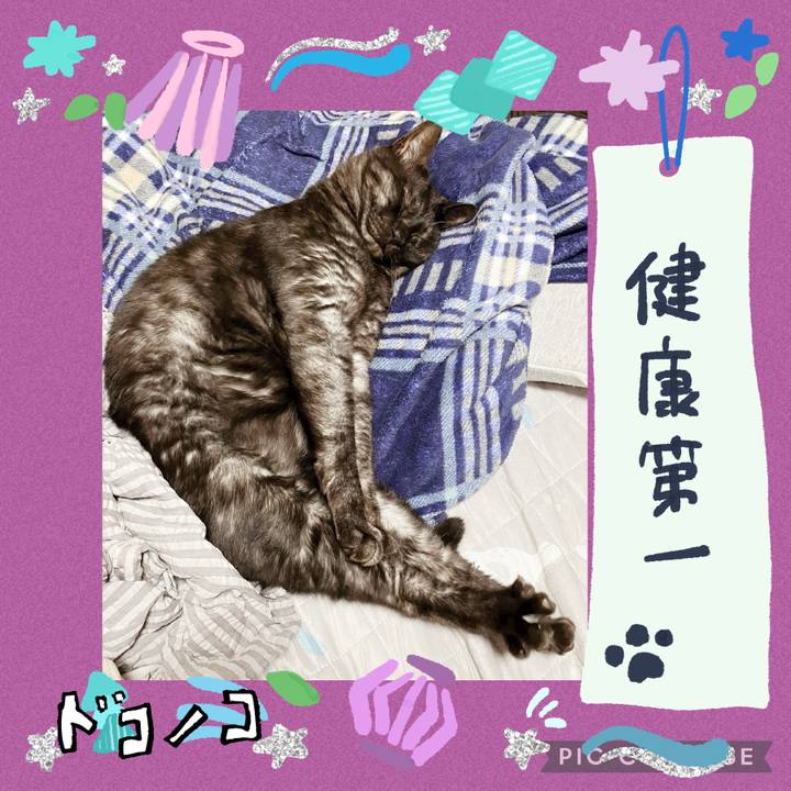 37d9fb5f 9b4a 4217 a348 309c32f1cde5 1721030357406