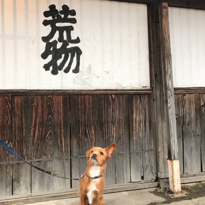 37da4f11 ddeb 483b 89cc 83f8d76b26b4 1549323932225