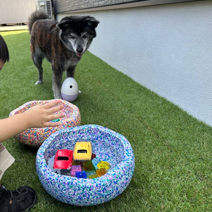 37da7154 7b98 4e4c bcc9 a4b789e59a2c 1760969673353