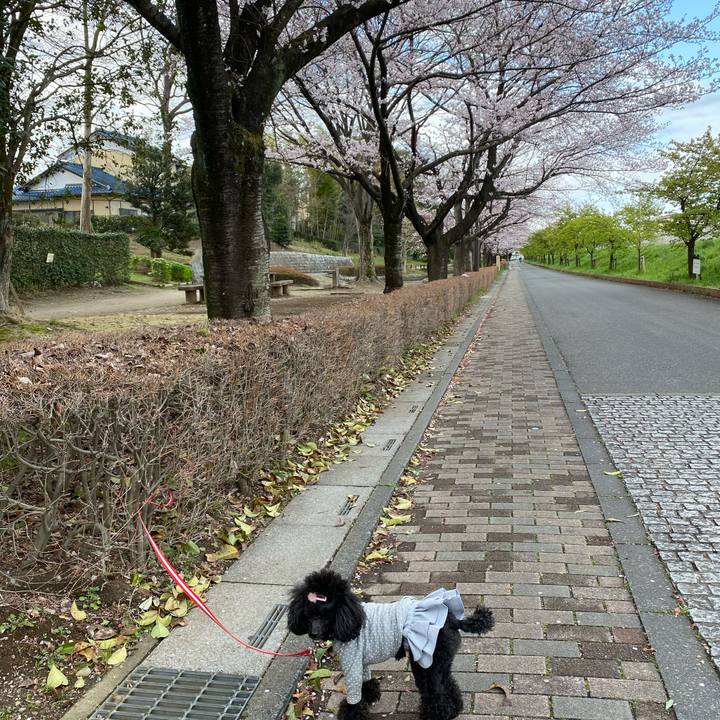 37da8b32 dab1 4377 9eae ec54a6f105d0 1648342048724