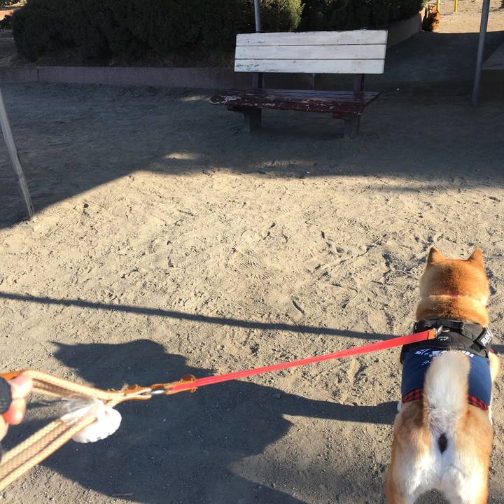 37dab43e 9daf 40e5 a541 337499bc4c28 1613309018302