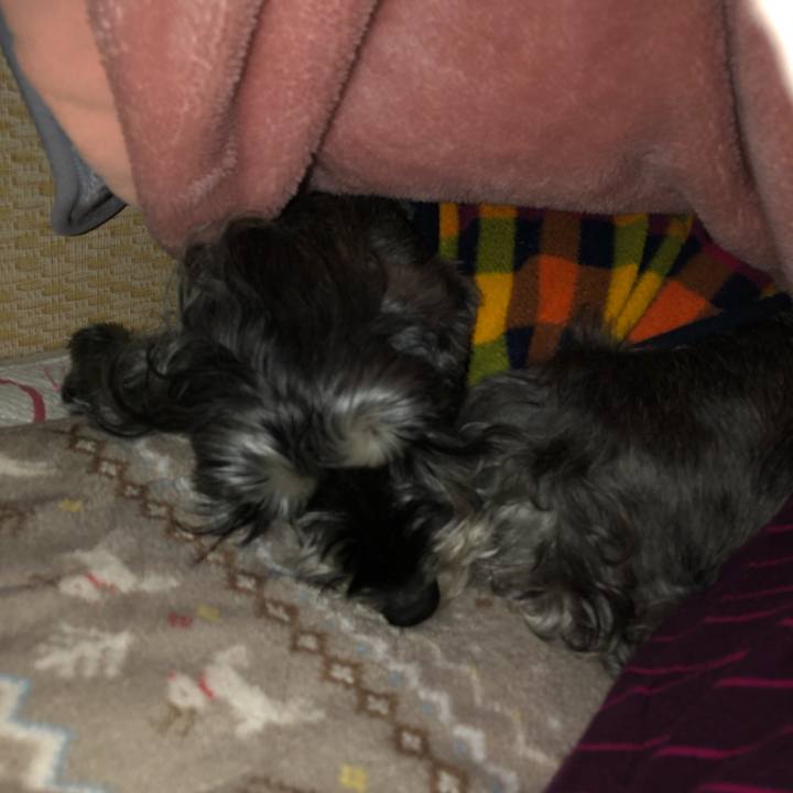 37dacb95 2eb3 42f2 bc6f 6a85bc577ee9 1670163691261