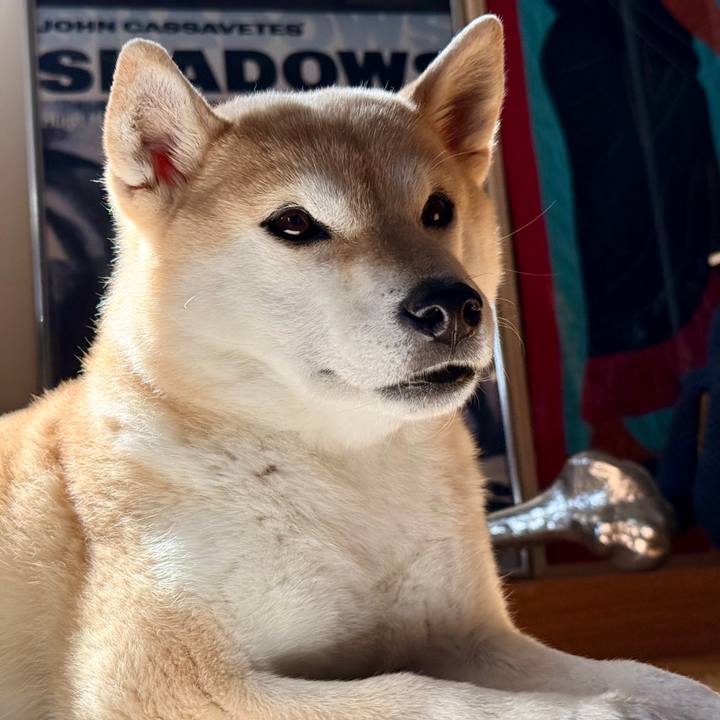 37dacf18 5491 4364 8205 cb2a85203c28 1774754624679