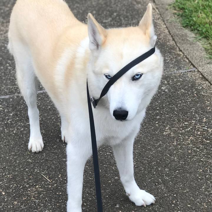 37dad6de 8491 4052 82dd 8daf955b05ab 1653113563583