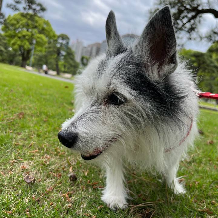 37db010b 4151 4fa9 8114 a5dd84e80205 1652007356427