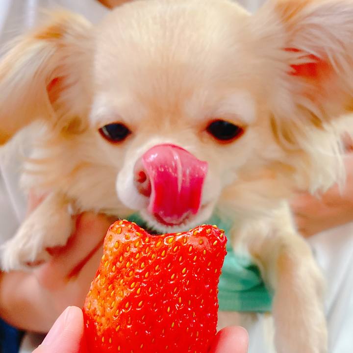 37db315e 352a 4df0 b67d ca68507df9b9 1645240281164