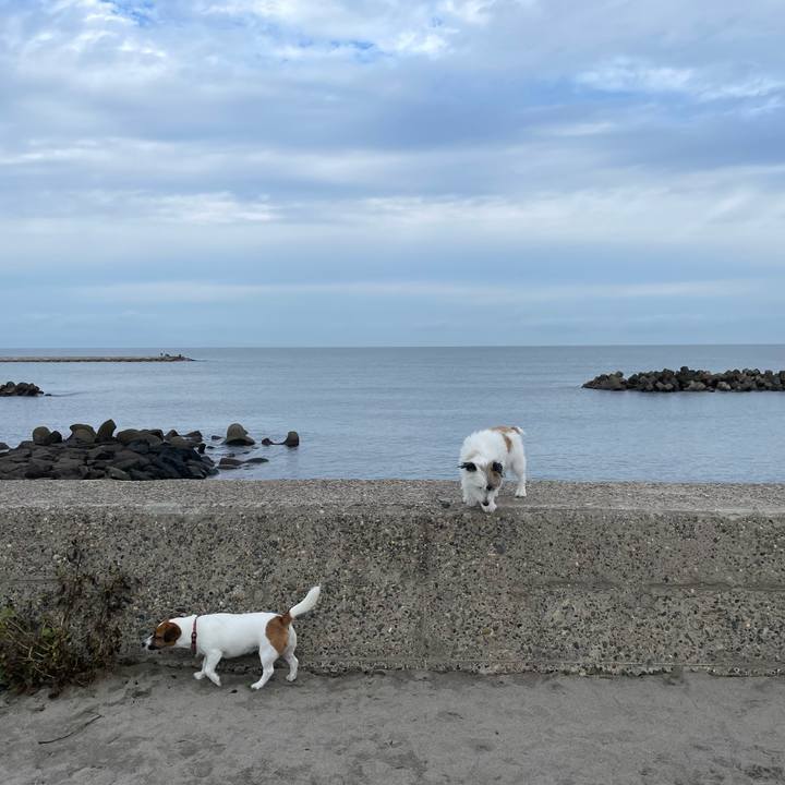 37db340c 3182 4f15 a3ee be8c6107eb8f 1664153464148