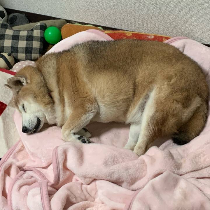 37db955b 7d08 4e37 a908 bb65bc02b2cf 1638611891749