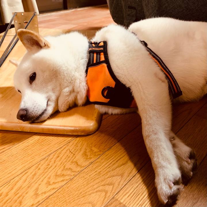 37dbad49 c649 4fe2 8f7c 6f4338f6e936 1638665187831