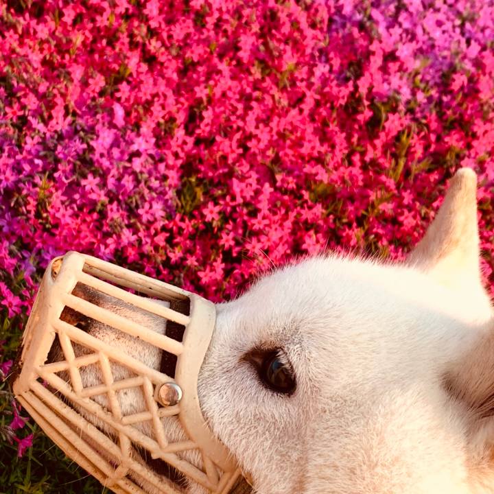 37dbc53a 508a 44f1 b30d 34a4c1fece9c 1653164138082