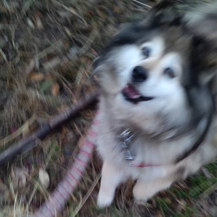 37dbf0e1 b5b0 484f 9281 2da0c0c99b65 1588183239049