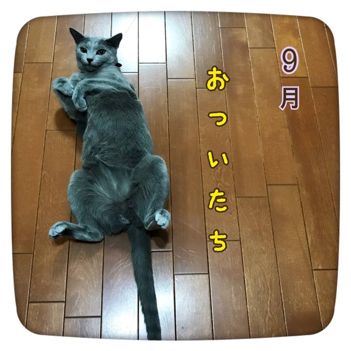 37dbfb83 cb97 4aac 97db f4008e7a8df2 1535760806354