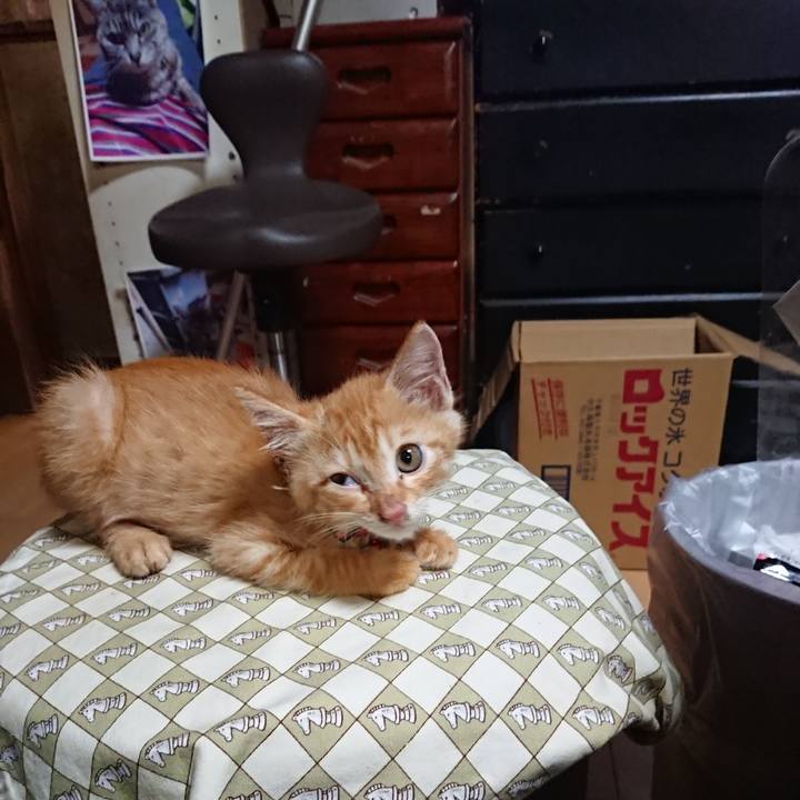 37dc2b92 c65f 4455 9dbc 6710395e9f44 1627990620982