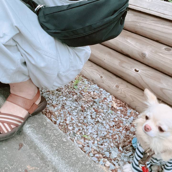 37dc56cb 21e3 4337 a86c 1d74166e2f61 1662715908873