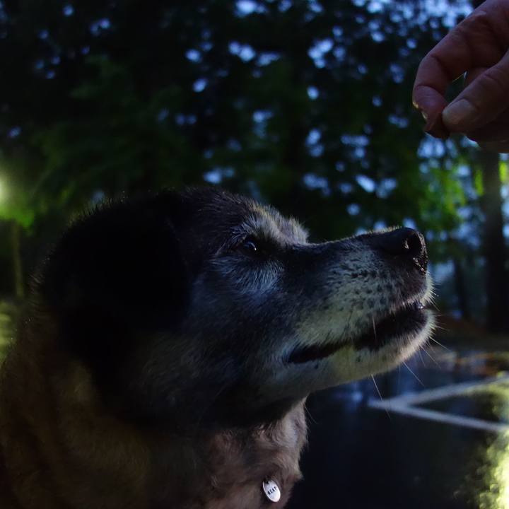 37dc6c28 5739 4256 8b59 191e62b6f628 1556715947552