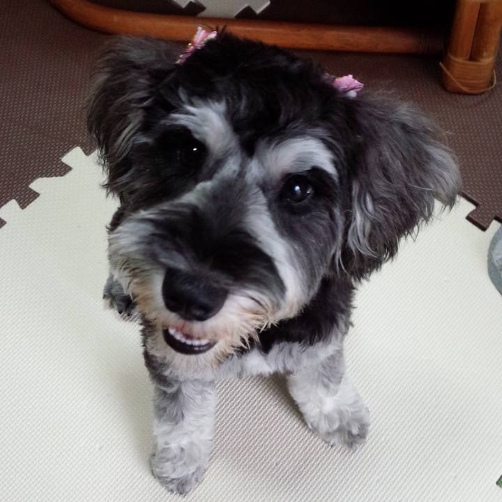 37dc8b9e a7a3 45ef 97f8 c023d8a76c2f 1652768184970