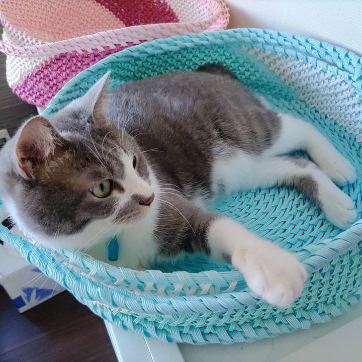 37dc9a71 6b5d 48d8 95dd 099afd8ffda4 1658710600540