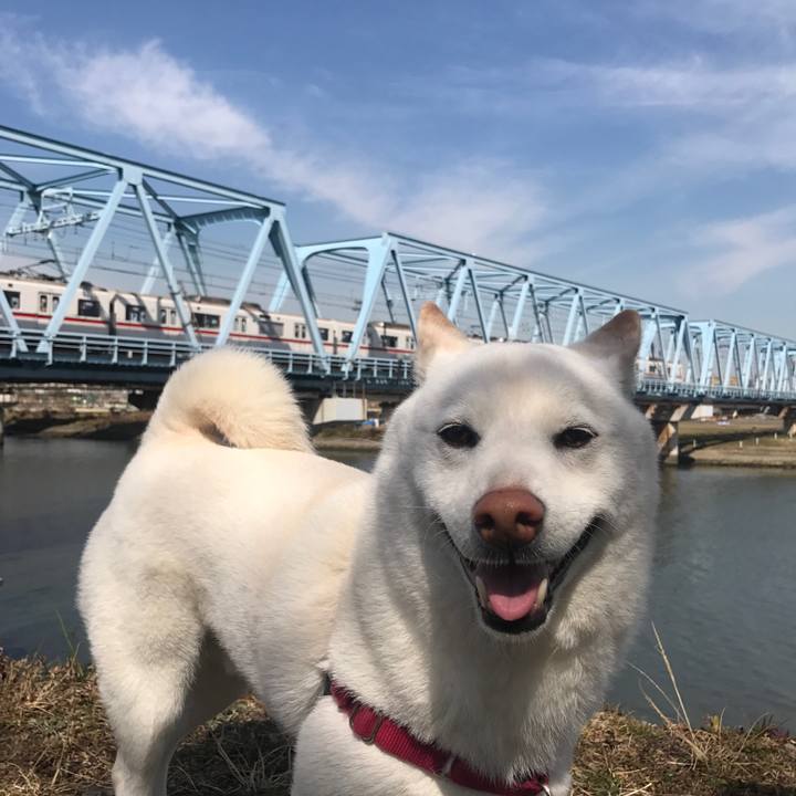 37dca349 570d 4f64 aec9 91cde0036830 1520049627006