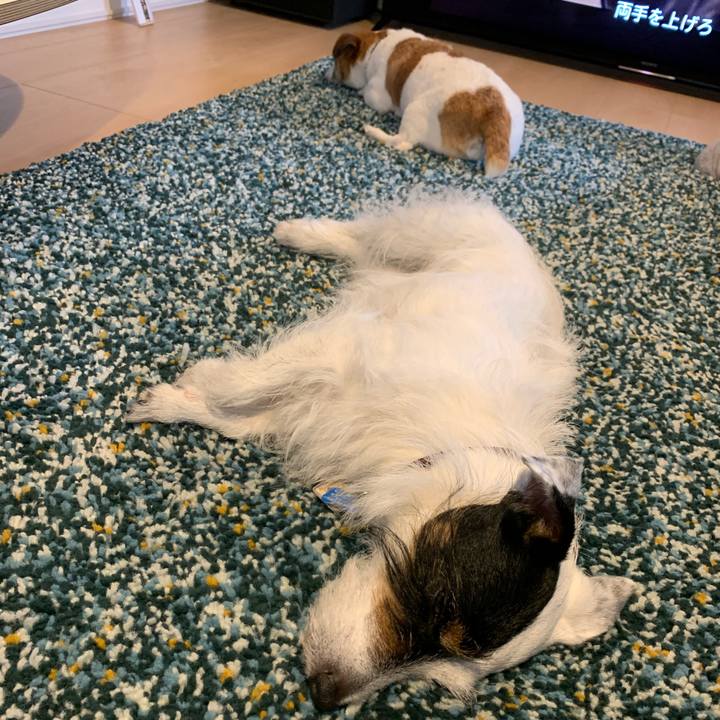 37dcb3a3 27a7 42e0 89f3 ddfdfc30594b 1621398983516