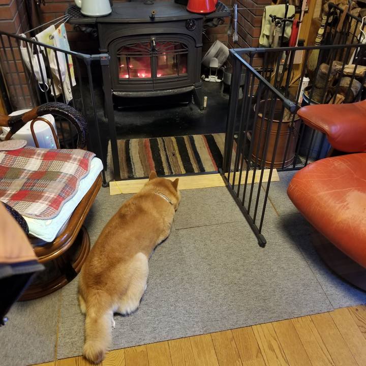 37dcc175 ef8f 4aad 8e58 94ce377afd67 1640730878462