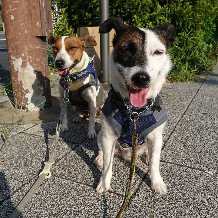 37dcc523 729d 4467 bbe1 791b5d05585a 1597097745552