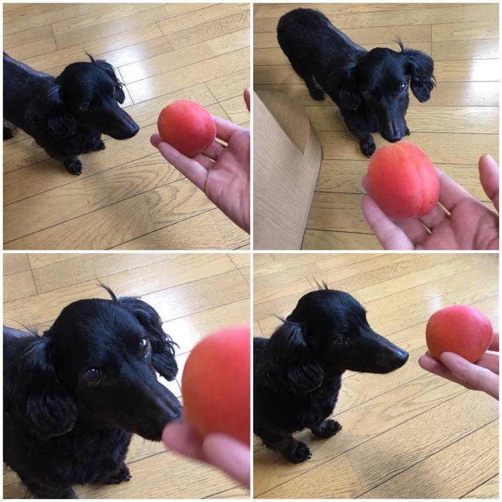 37dcd304 6a5d 4fa5 98ae 64c0ec22ac41 1530775320485