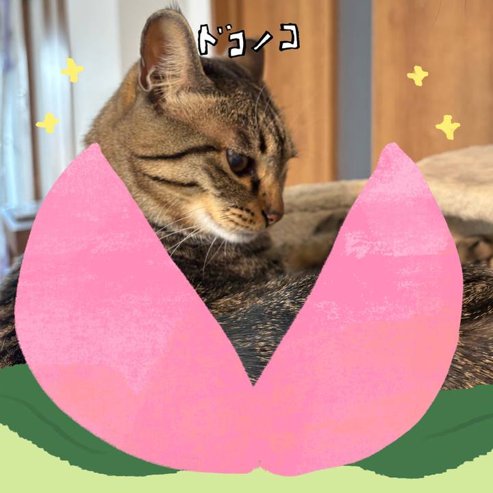 37dcffe1 5f3e 4322 b401 568cf0945933 1771813922499