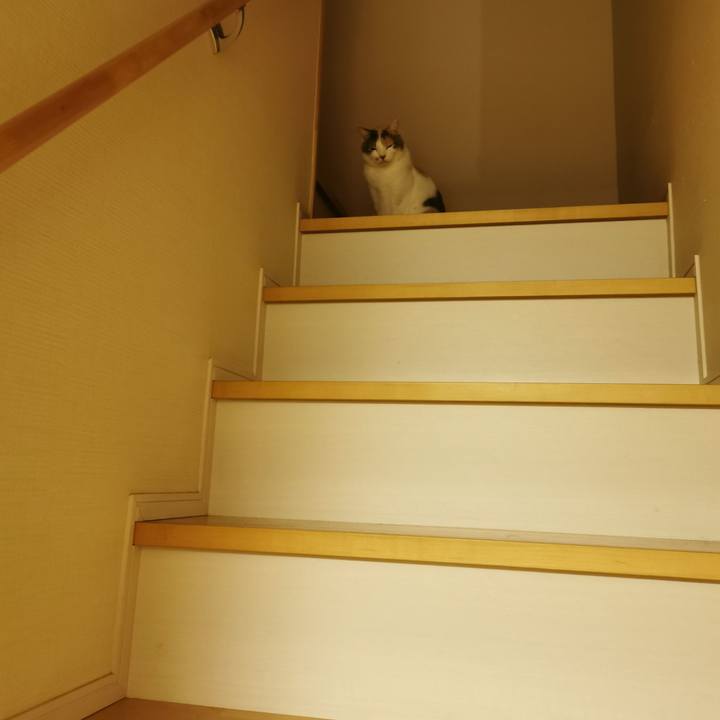 37dd0374 c0dd 4c95 a231 feac493cb0a4 1670470237637