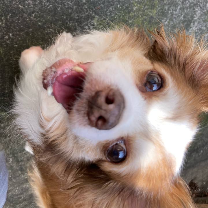 37dd0cef ab3b 4186 b60e e1814bbd926e 1686449162807