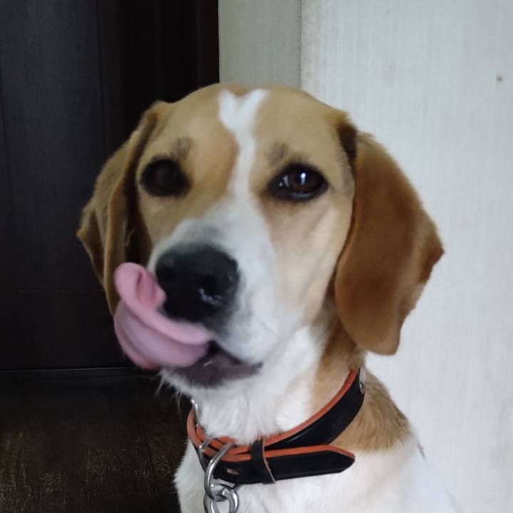 37dd4567 17f5 4001 8359 7913a2d773c7 1622609681463