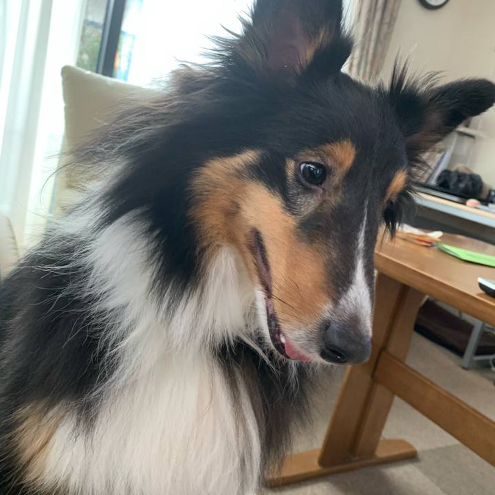 37dd7785 7551 4749 bddd 603a1d3891d7 1580516938680