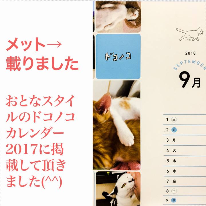 37dd8541 6a70 42ef af28 11a95e681f26 1511614234419