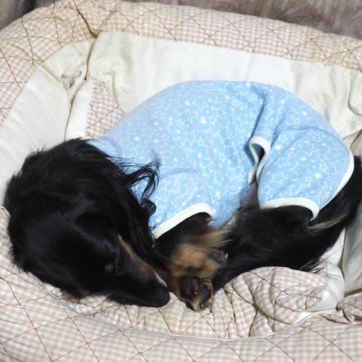 37dd9e6d 566c 4315 92e5 df581582f7d2 1628341780913