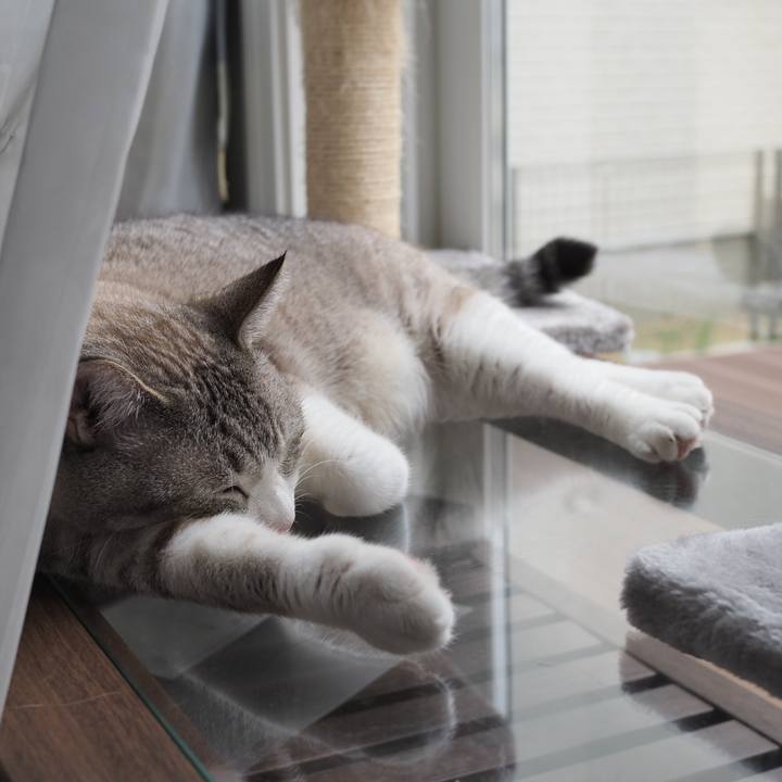 37dda6a7 eaf2 4a69 9ded 7ff6a2fb4606 1598591000675