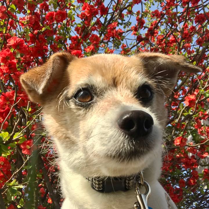 37ddd74e 1038 4839 a77e 5a8da411d84b 1648193747118