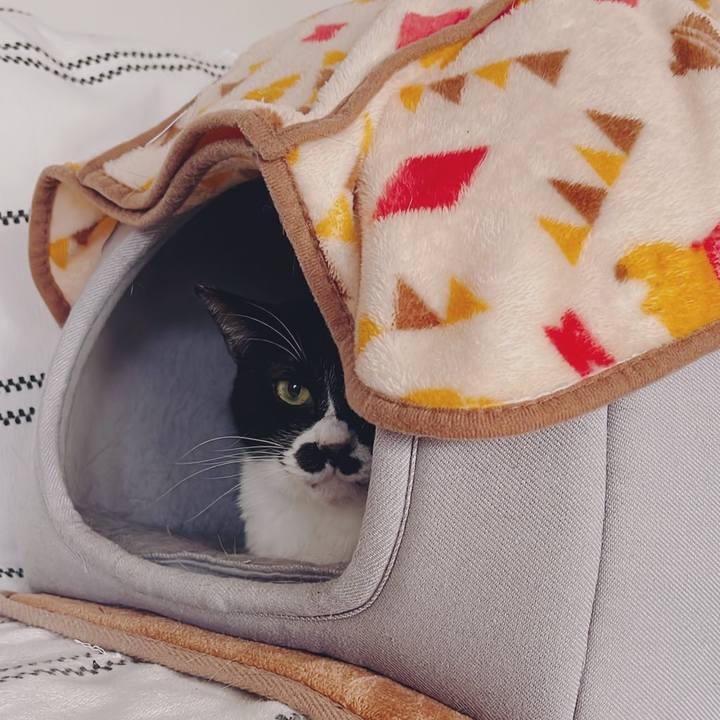 37de2e82 4bc4 47e2 a183 9f657f4830a6 1671336812758