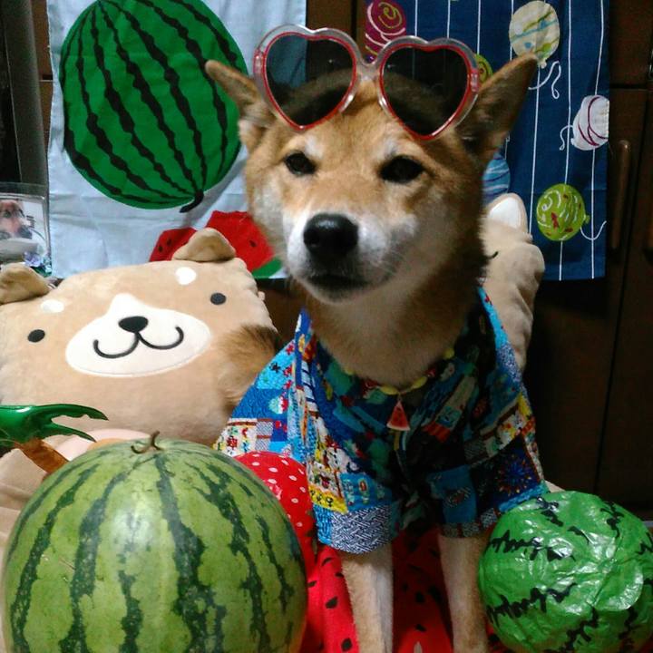 37de7efd 91ed 4a01 bc81 b0ae70f27380 1534071758870