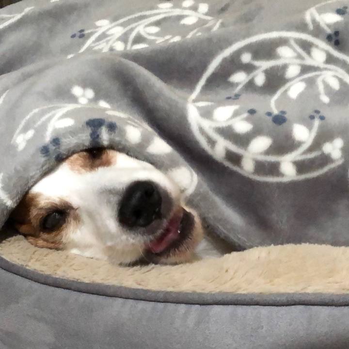 37de7f2d e0ca 41df 95a9 e4aeddfacbb6 1743654136992