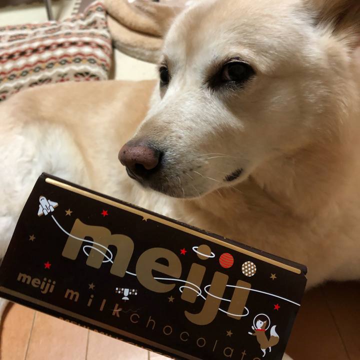 37de88ef cb4e 4eae 889d 78e0d093a9c2 1549629436307