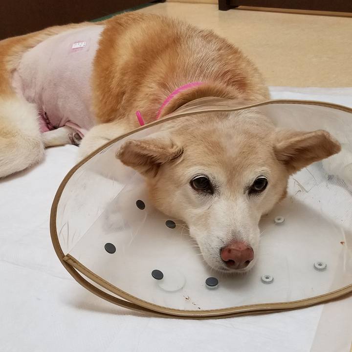 37de9236 d8d3 4614 8ca7 5b424cd753d4 1544614775503