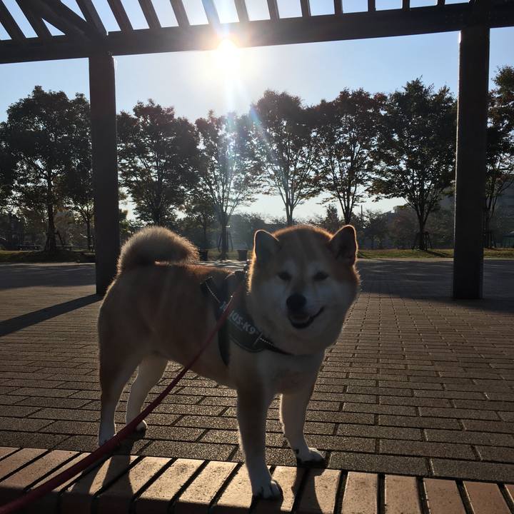 37dea05d f9d0 42cf 8063 ff472d44ae27 1603928542591