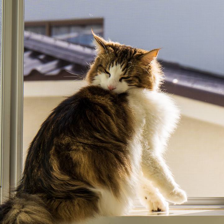 37deaba7 49b6 4767 bd27 50837c80e86a 1645098324223