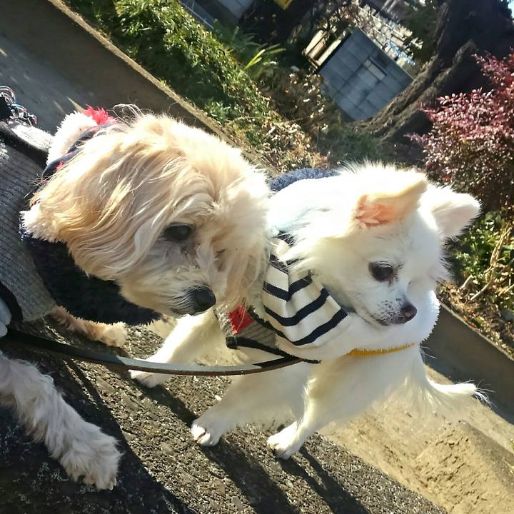 37deecef ca98 4bf2 be50 749007ce2175 1514005021853